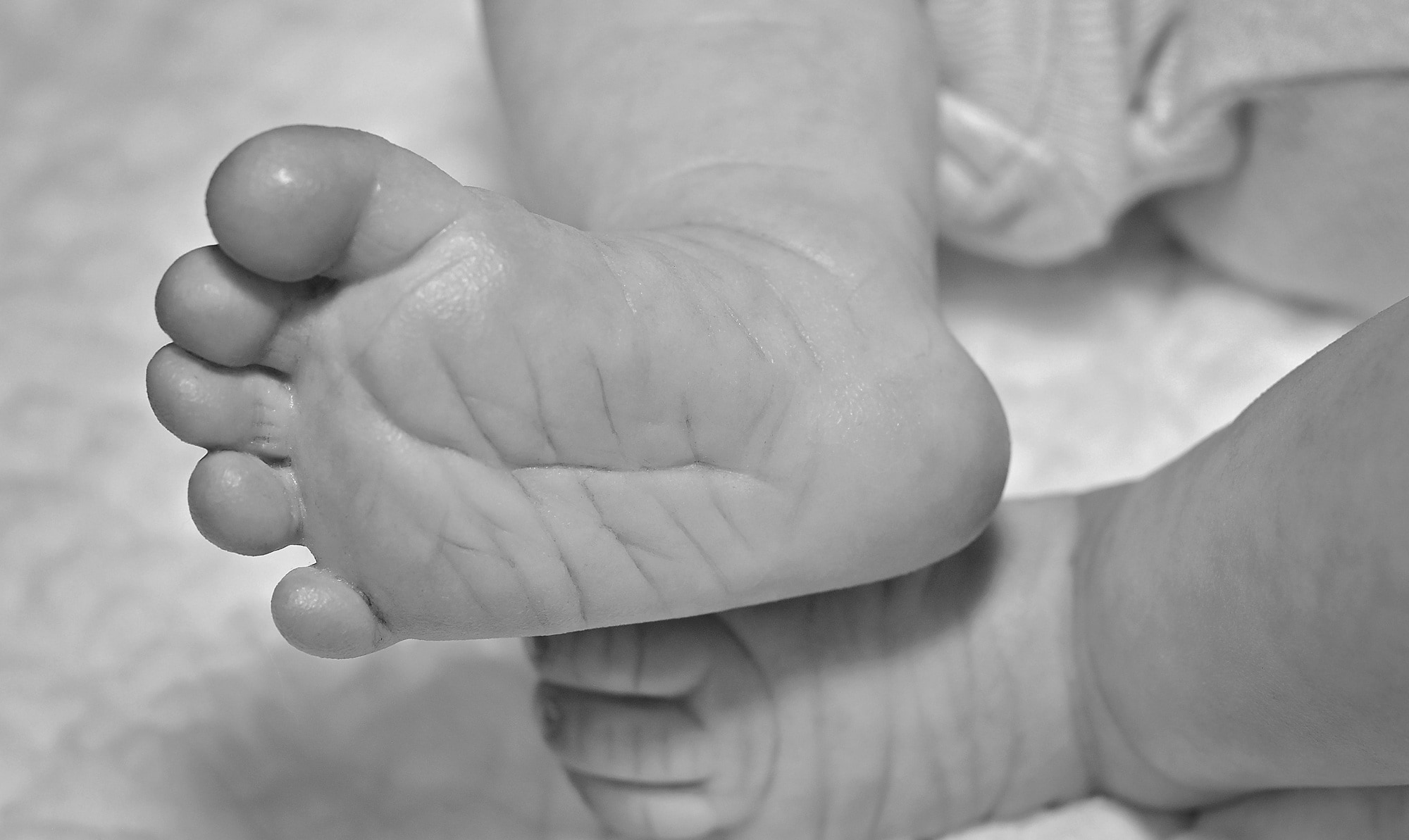 Feet Newborn Baby Small Human Body Part Hand