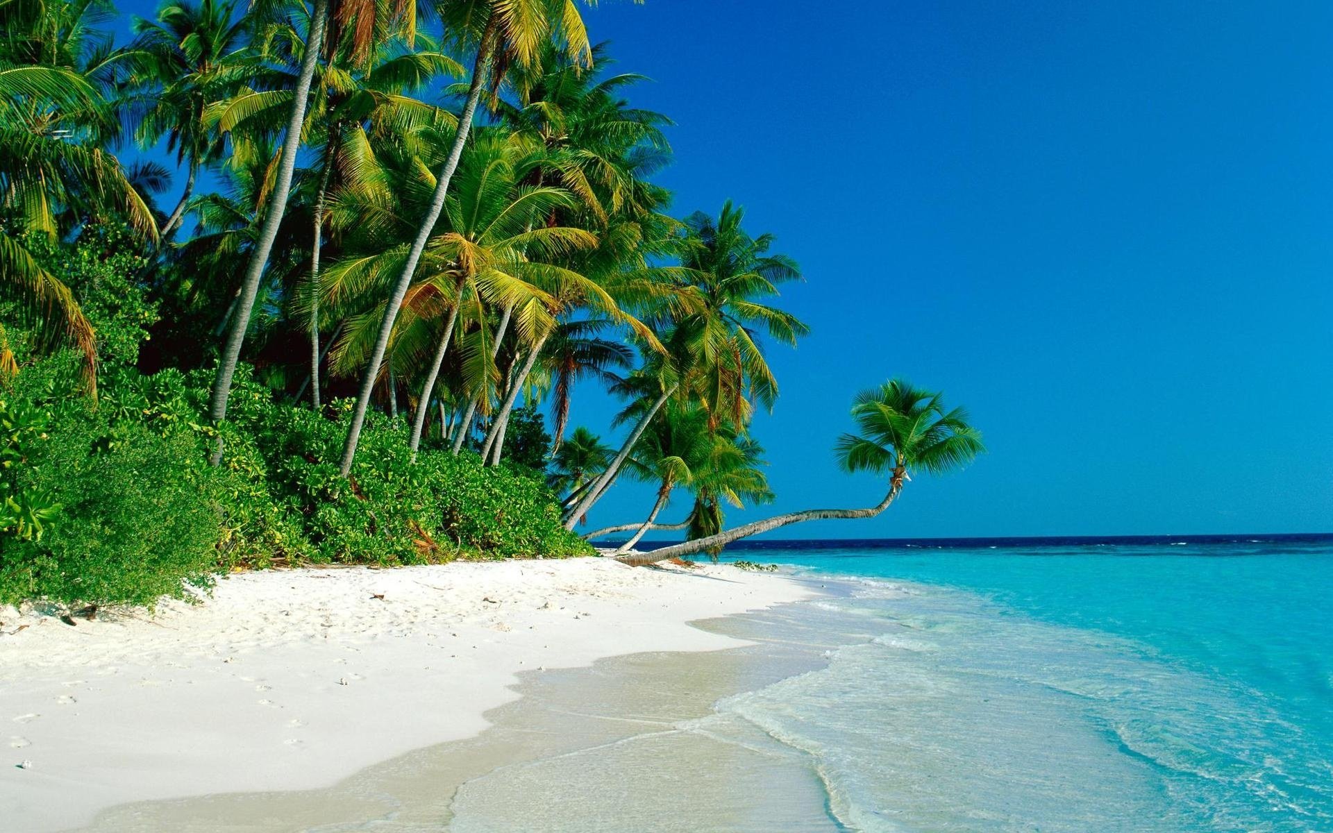 Tropical Island Beaches HD Wallpaper Background Images