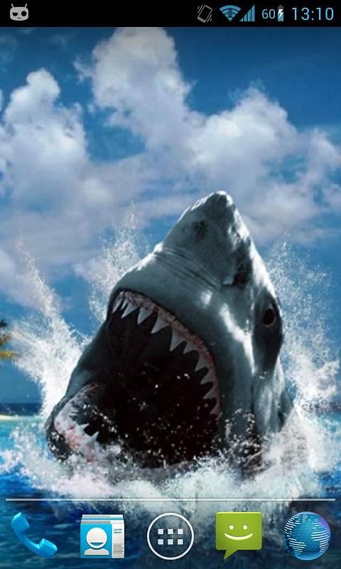 Shark Attack Live Wallpaper Free Android Live Wallpaper download