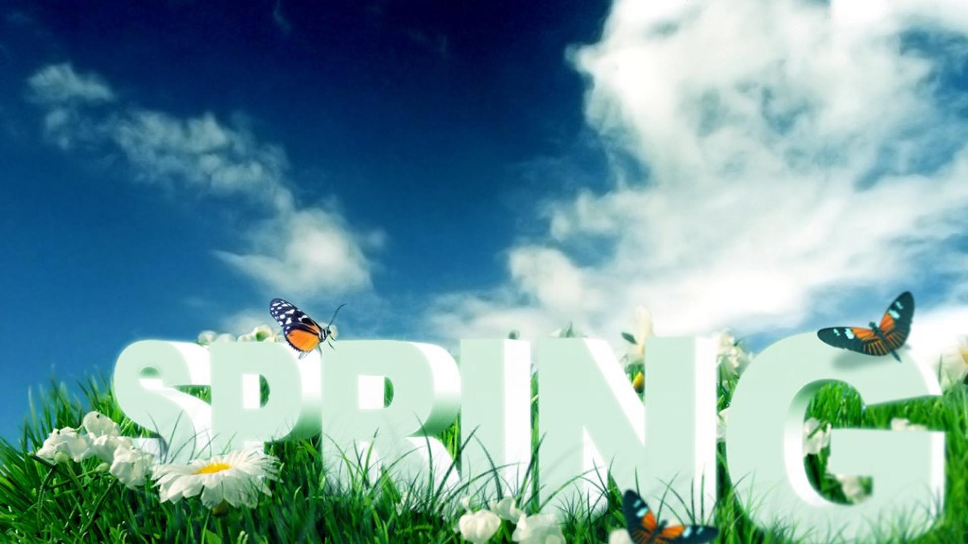 Abstract Spring Flower 3d Wallpaper Butterfly Hq