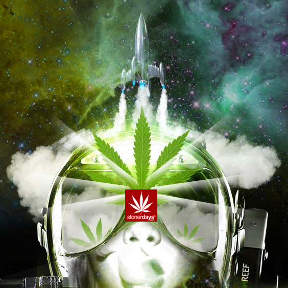 High Life Weed Wallpaper Mobile For Stoners