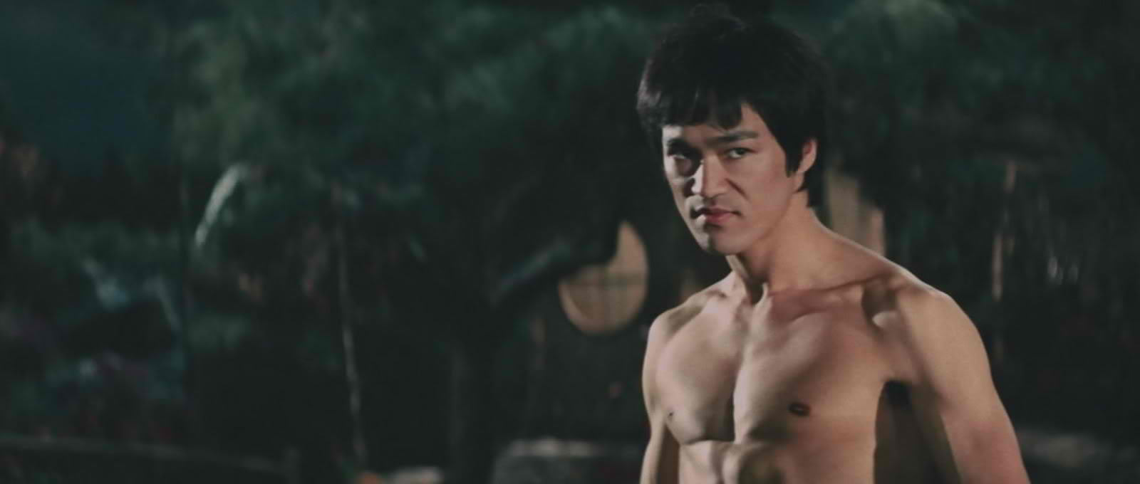 Bruce Lee images Fist of Fury HD wallpaper and background photos