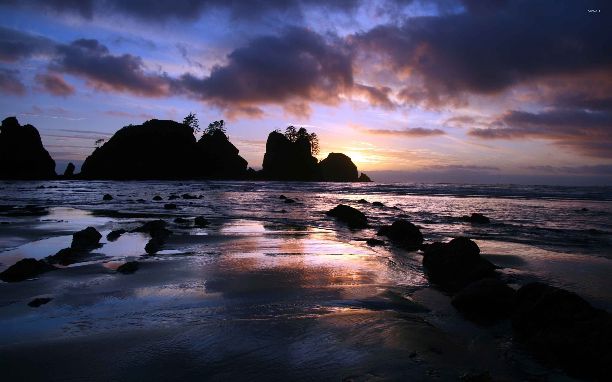 Olympic National Park Wallpaper Nature