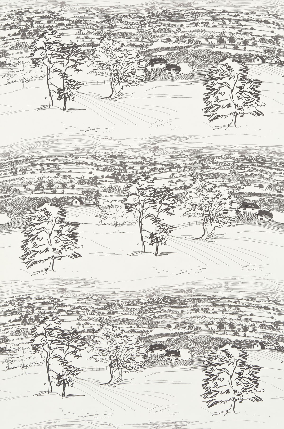 Sanderson Fabric Sussex Downs Voile A Spontaneous Line Drawing