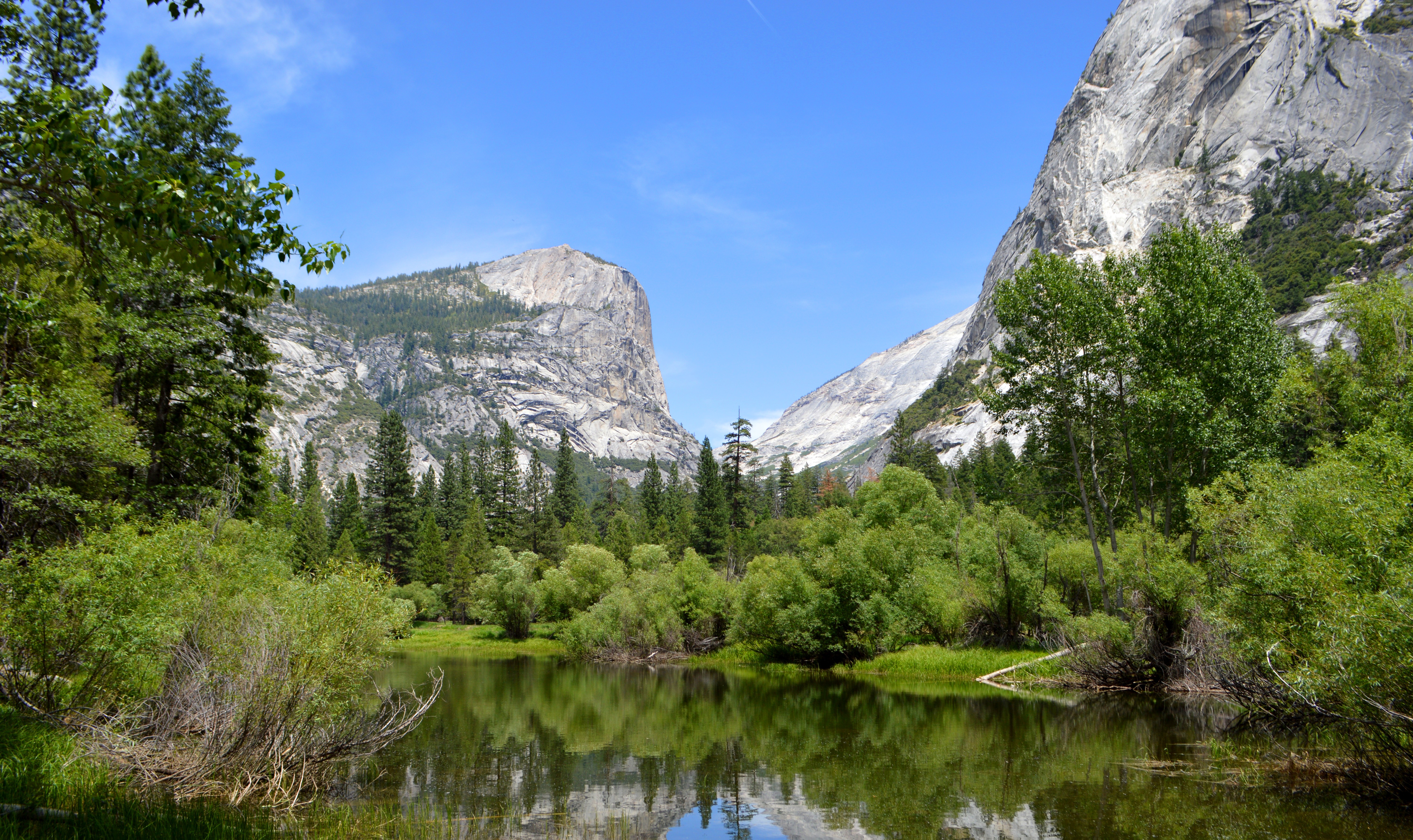 Forest Yosemite 5k Wallpaper Osx Apple Mountains Lake