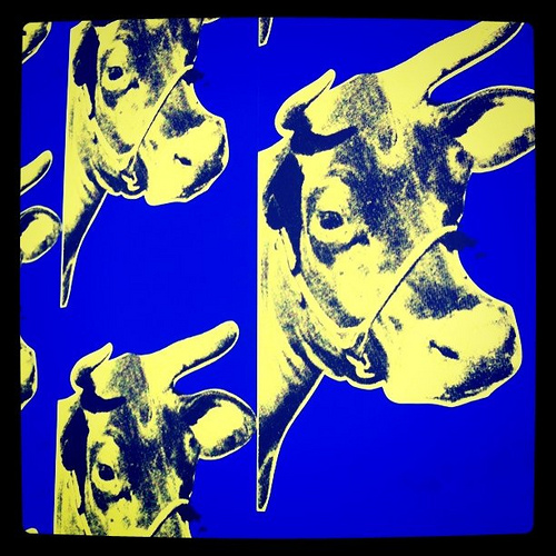 Andy Warhol Cow Wallpaper Photo Sharing