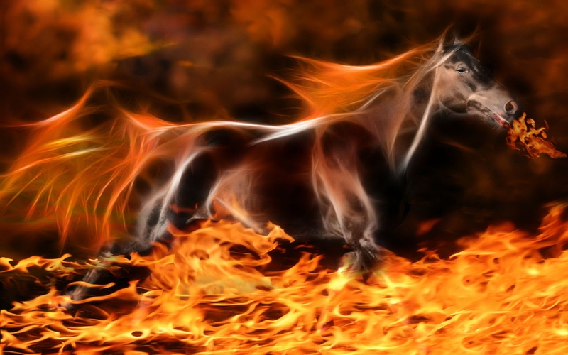 Fire Fractalius Horses Wallpaper Animals HD