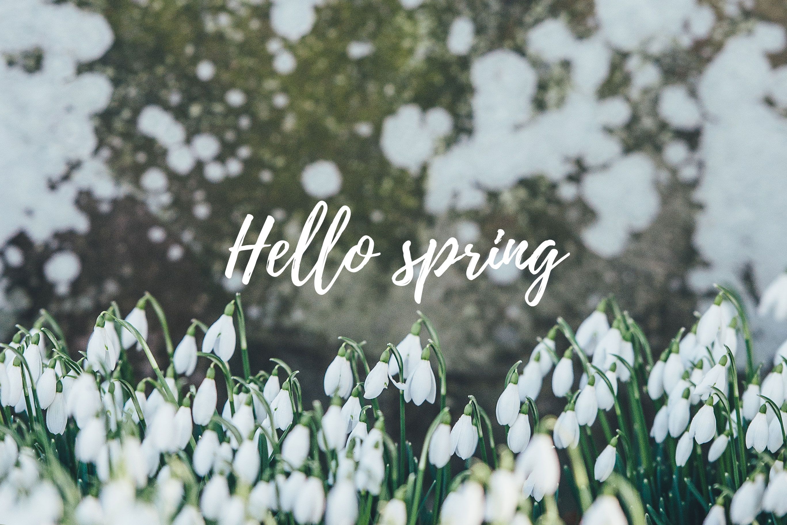 Aesthetic Spring Computer Backgrounds 3279662   HD Wallpaper