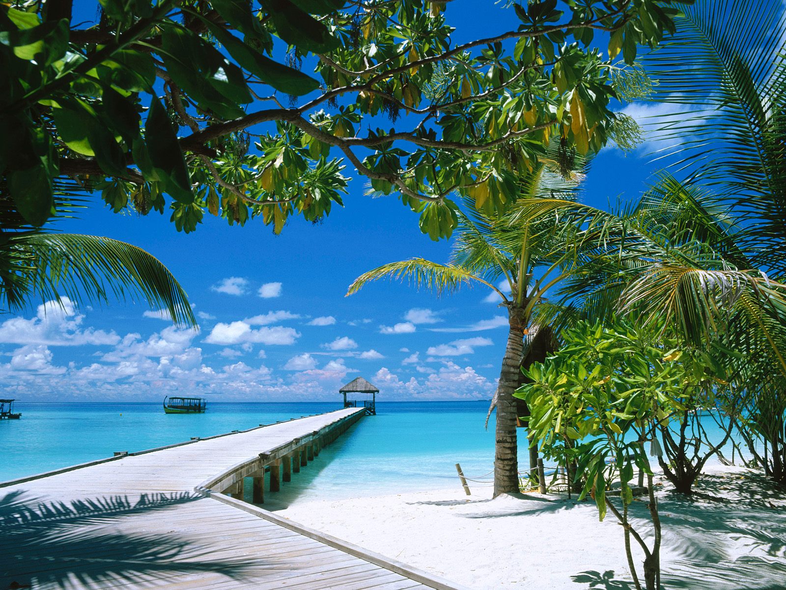 Beautiful Beach Wallpaper