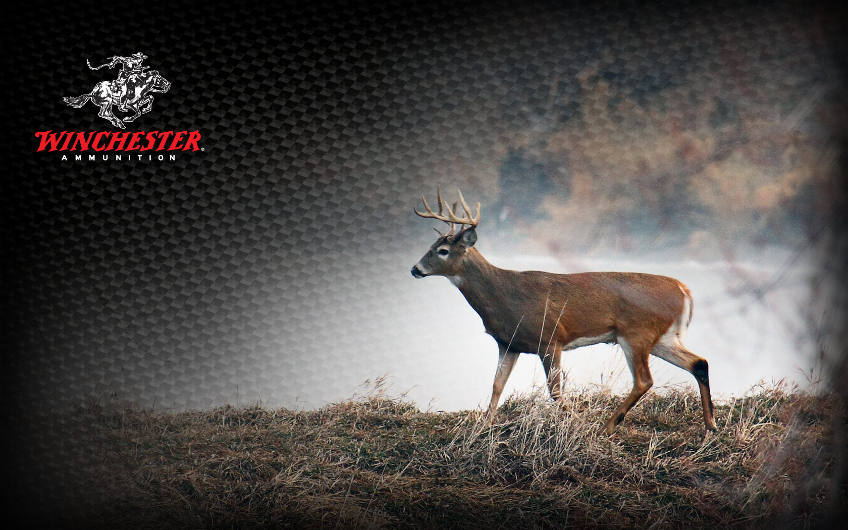 downloading Deer Hunting 19: Hunter Safari PRO 3D