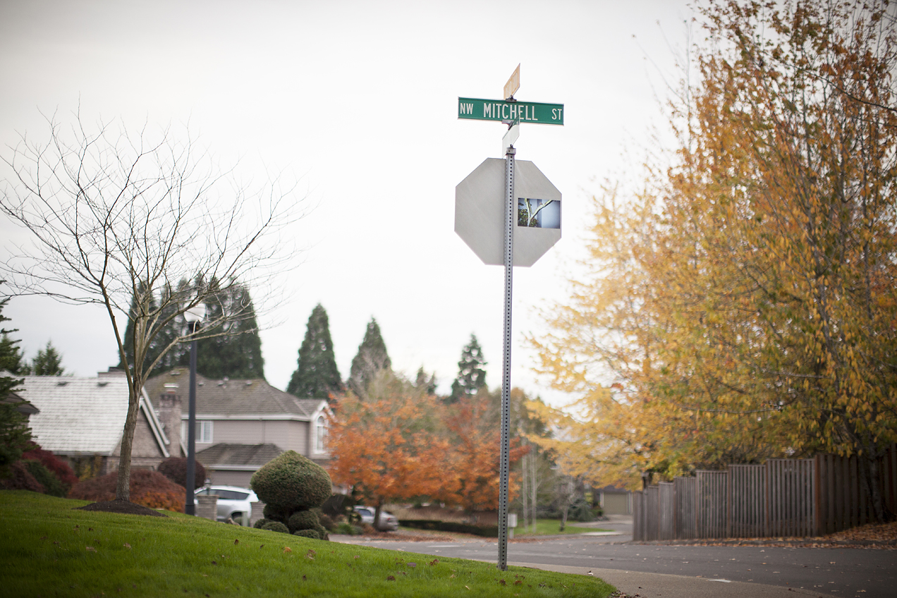Free download photography street art installation portland oregon