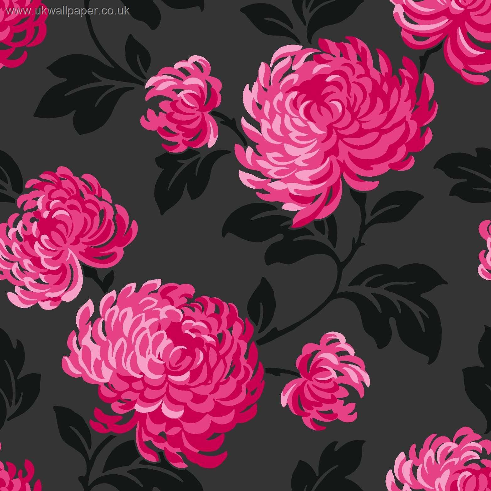 Blooming Lovely Floral Wallpaper Black Pink  Wallpaper Shop