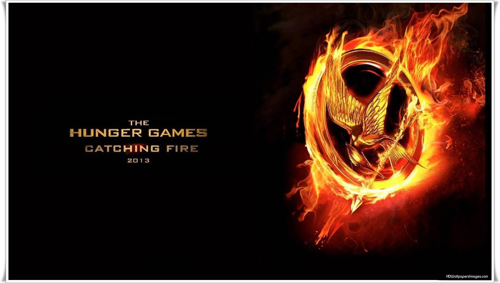 The Hunger Games Catching Fire Wallpaper Desktop