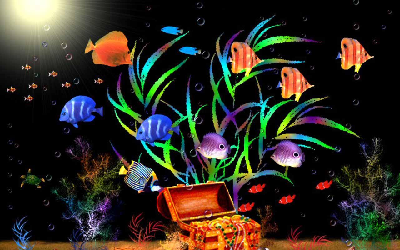 Most Enchanting And Beautiful Aquariums Fish Video Pets World