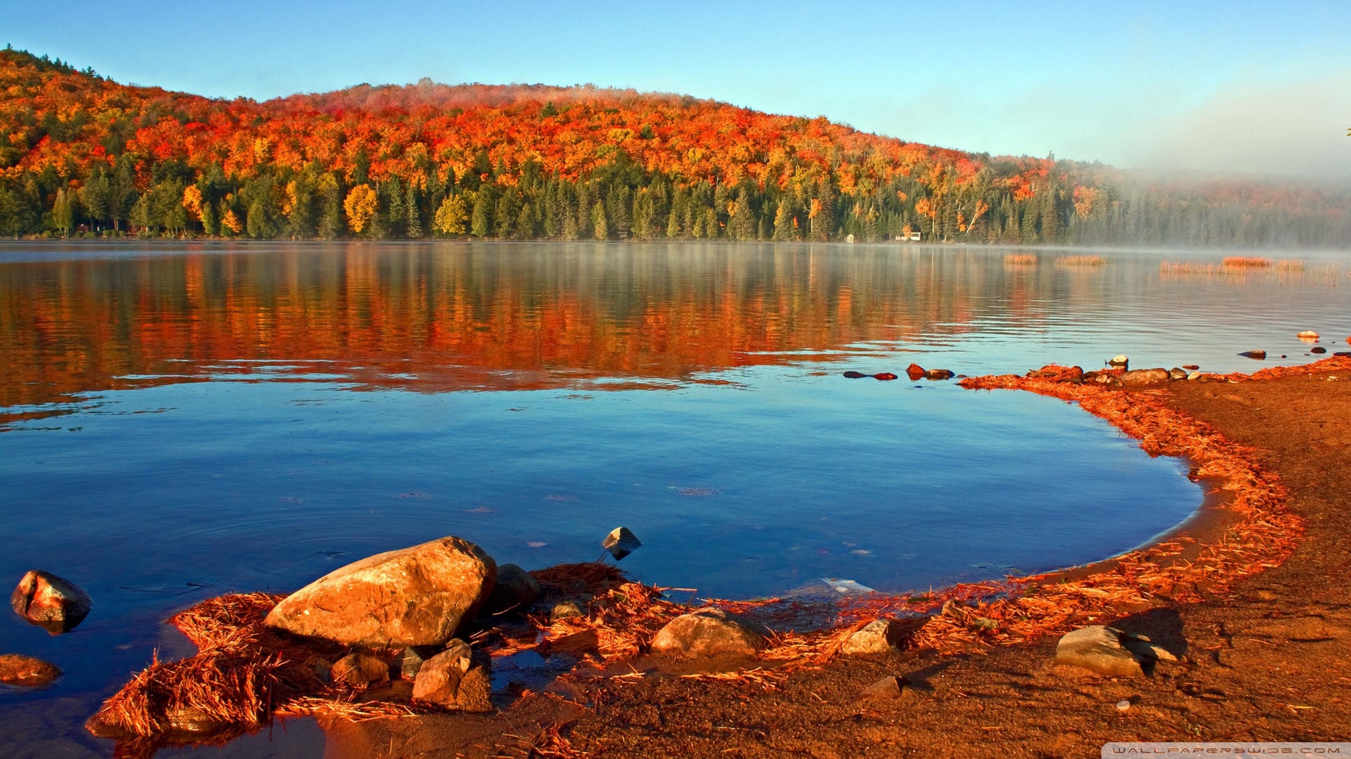Lake Shore Autumn Wallpaper