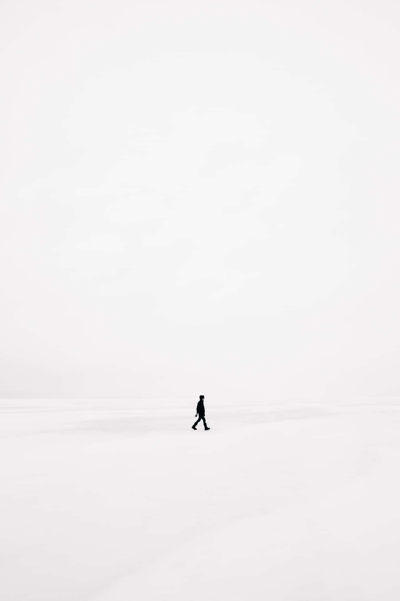 Vintage Minimalism In Full Bloom Wallpaper