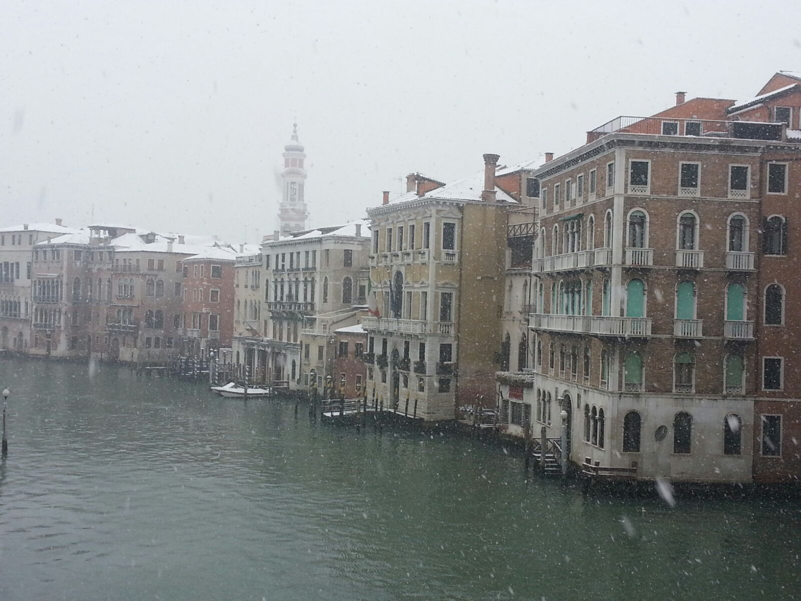 Snow In Venice Couch Potato On The Move