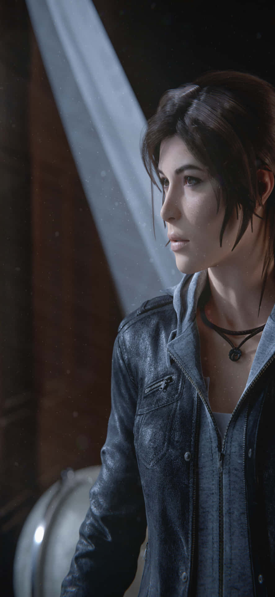 iPhone Xs Max Rise Of The Tomb Raider Background Wallpaper