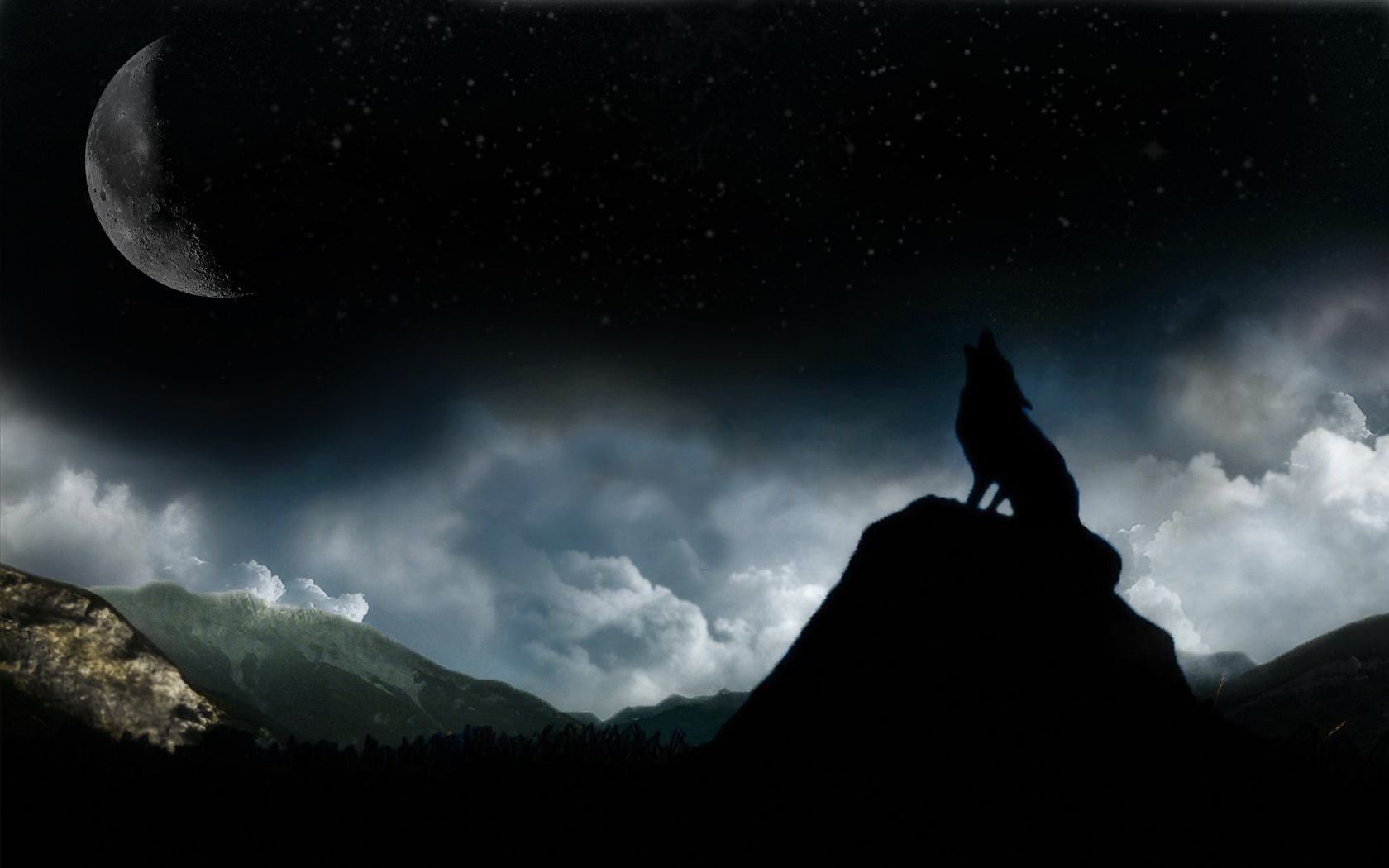 Wolf Moon Wallpaper 10738 Hd Wallpapers in Animals   Imagescicom