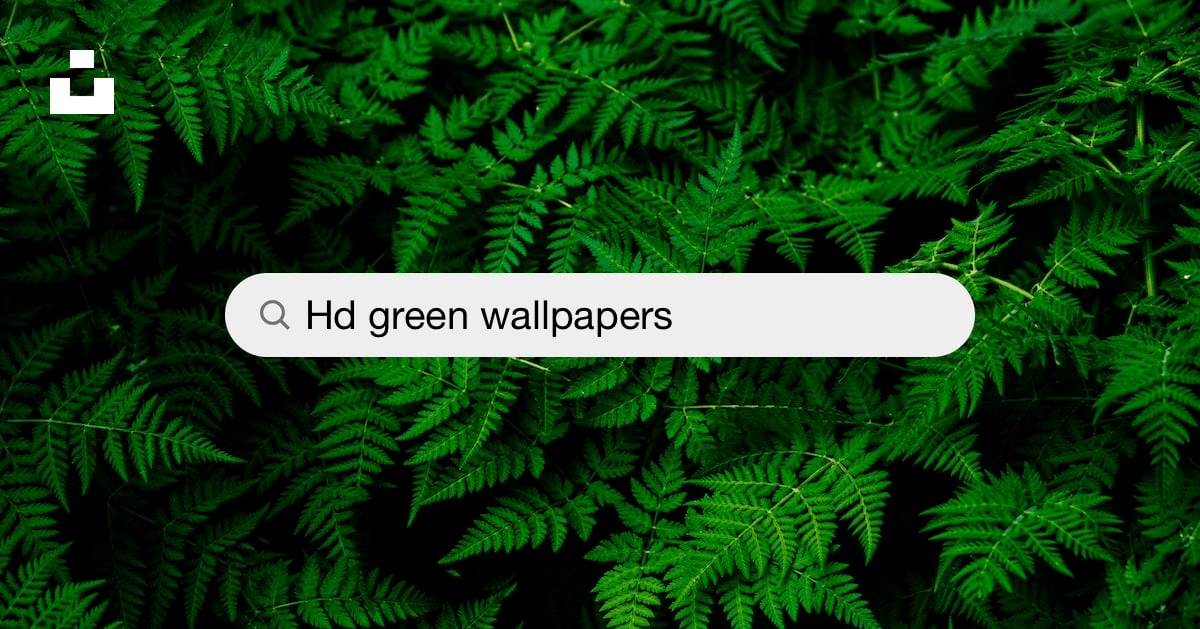 Green Wallpapers Free HD Download HQ