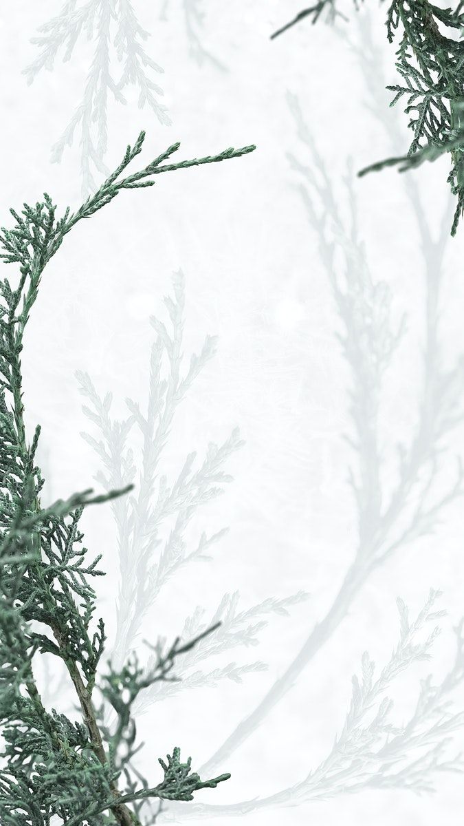 Free download Green pine tree psd white winter background free image by  [675x1200] for your Desktop, Mobile & Tablet | Explore 17+ Winter White  Aesthetic Wallpapers | Aesthetic Wallpaper, White Aesthetic Wallpapers,  Aesthetic Wallpapers