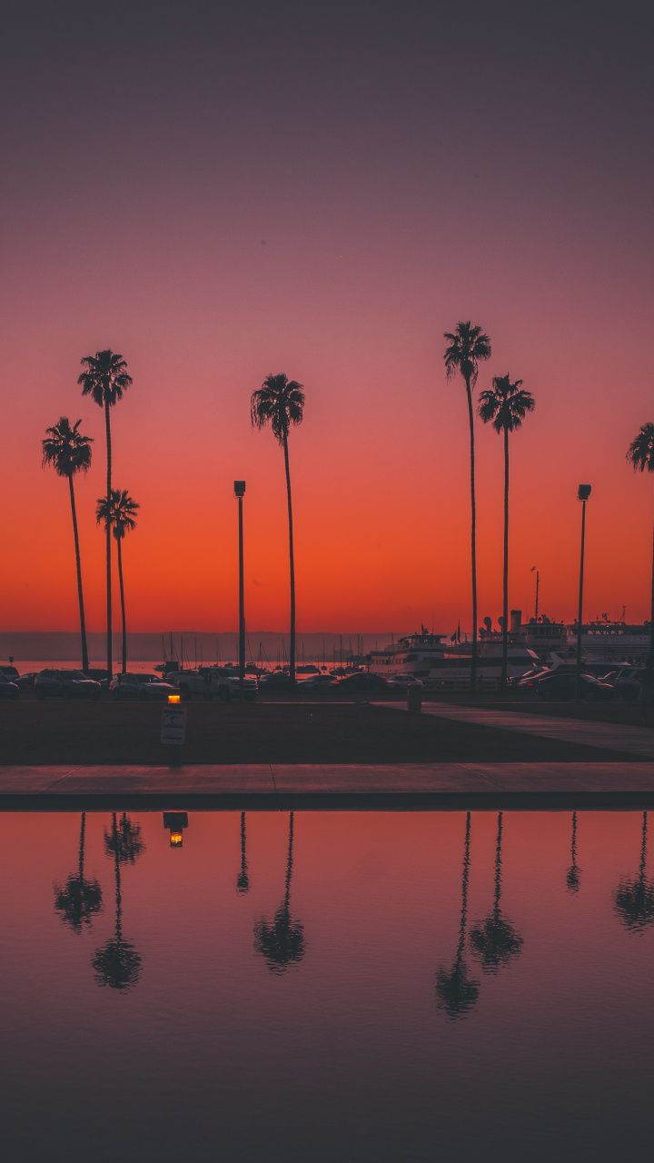 Palms Trees Sunset San Diego Wallpaper Sky