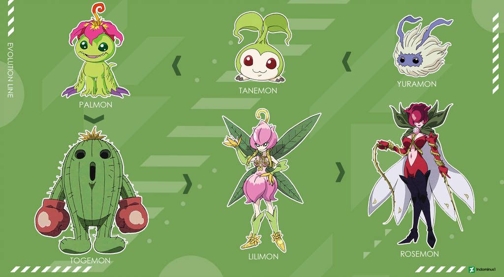 Free download Evolution Line Palmon by Indominus1 Digimon Digimon ...