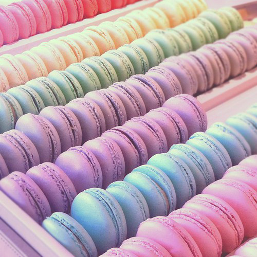 Macarons In Pastel Colours Our Once A Lifetime