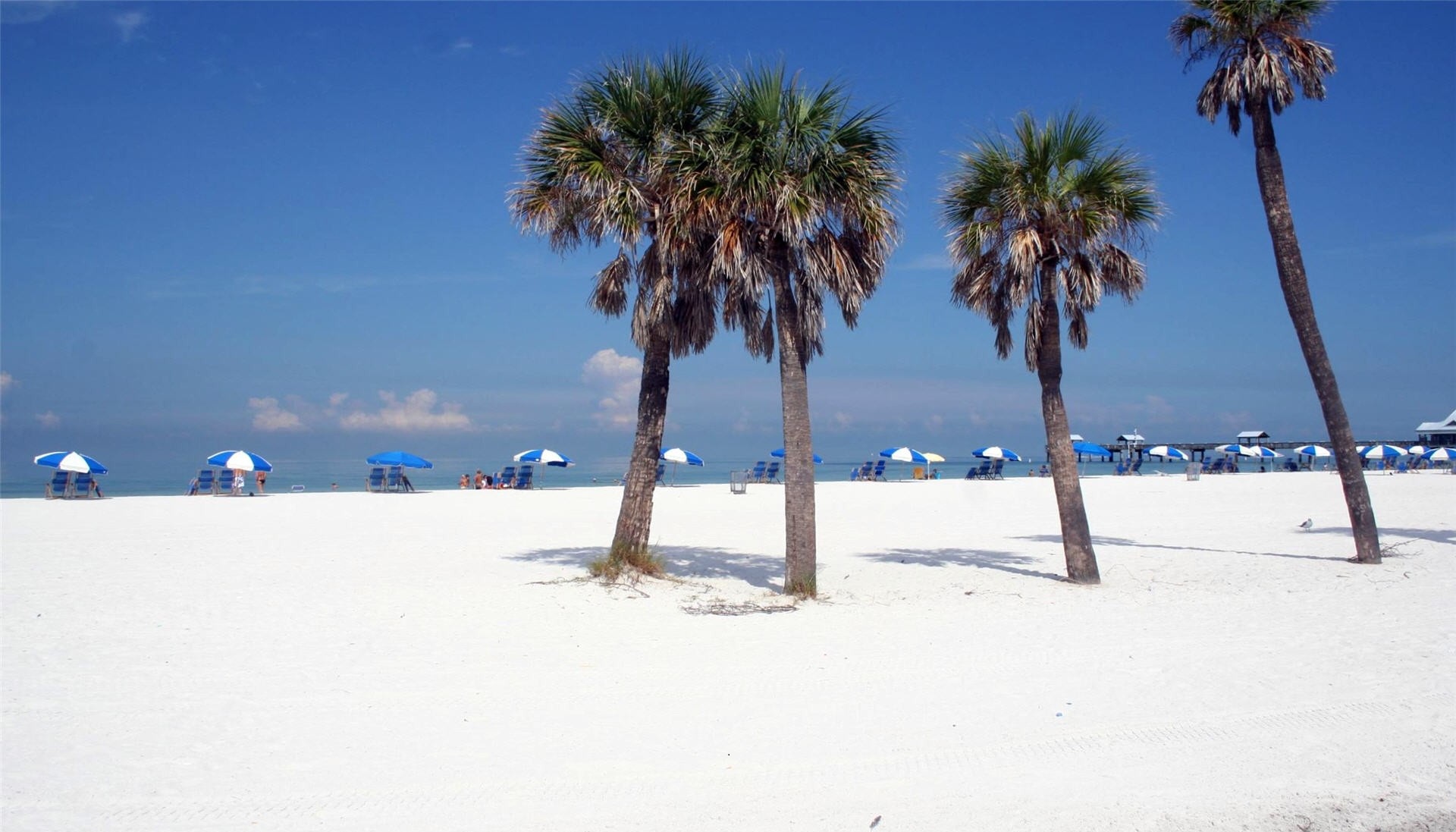  on August 31 2015 By admin Comments Off on Florida Beach Wallpapers