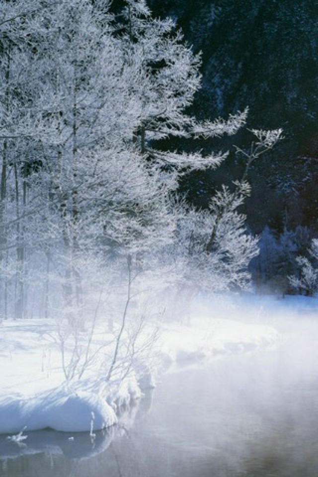 Winter iPhone HD Wallpaper
