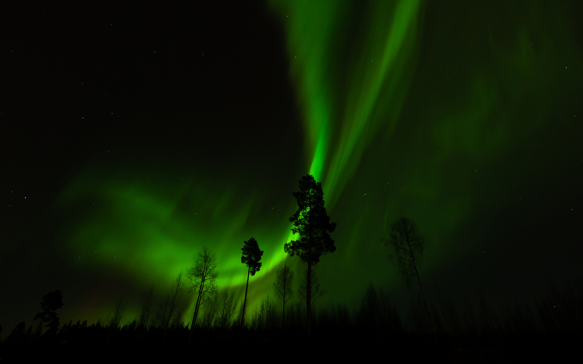 Aurora Borealis Northern Lights Night Green Trees Stars sky landscapes