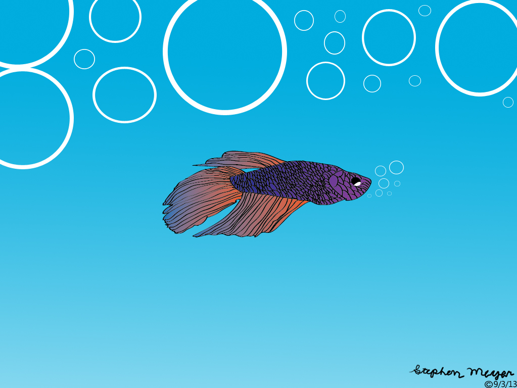 My First Fish Wallpaper I Made It With Illustrator And Photoshop Cs5