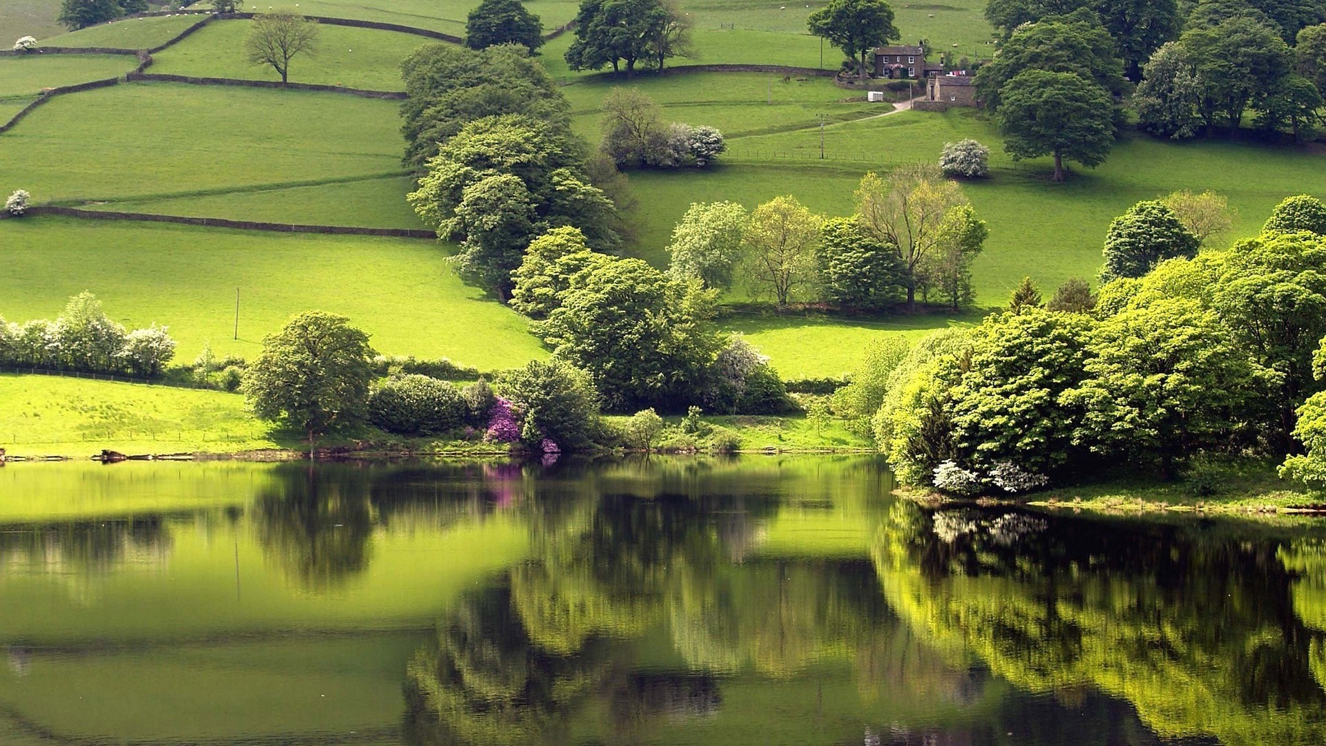 River Reflecting Green Hills Wallpaper