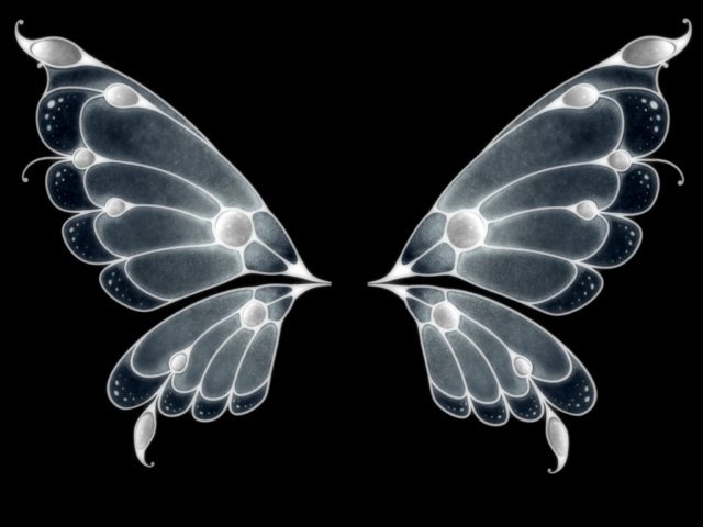Black Butterfly Wings Wallpaper On This Background