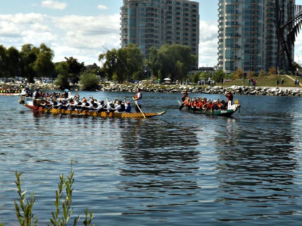 Barrie S Dragon Boat Races High Quality And Resolution