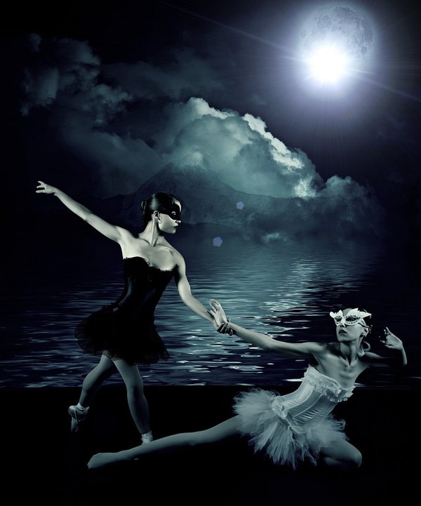 Midnight On Swan Lake By Lady Eastwick