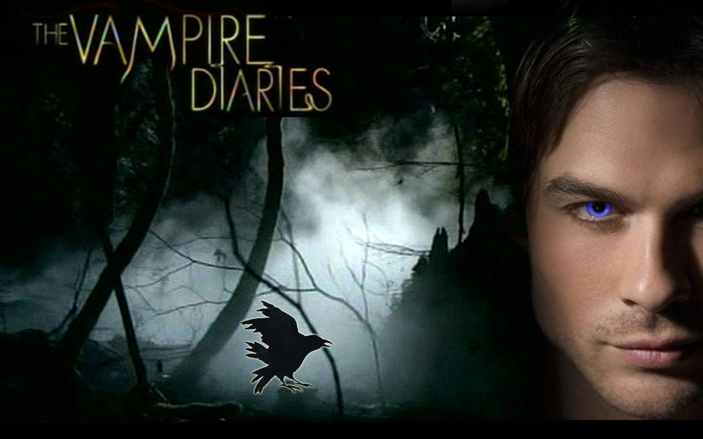 The Vampire Diaries Vampires Wallpaper