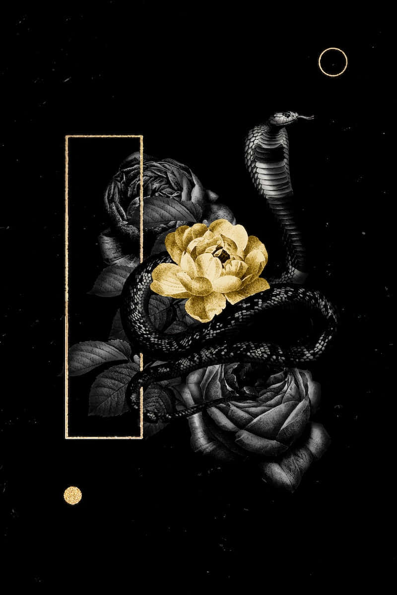 Black And Gold Wallpaper Aesthetic