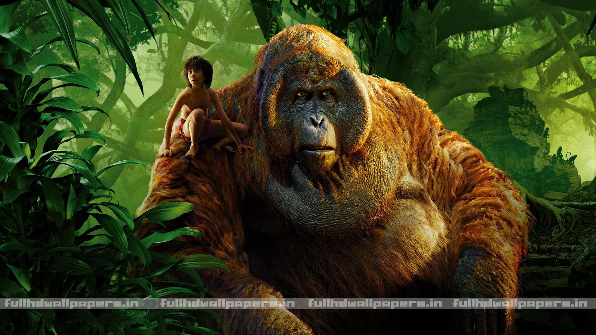Mogli Jungle Book Full HD Wallpaper