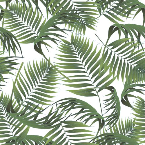 palm leaves pattern BACKGROUNDSArt Designs Leaf