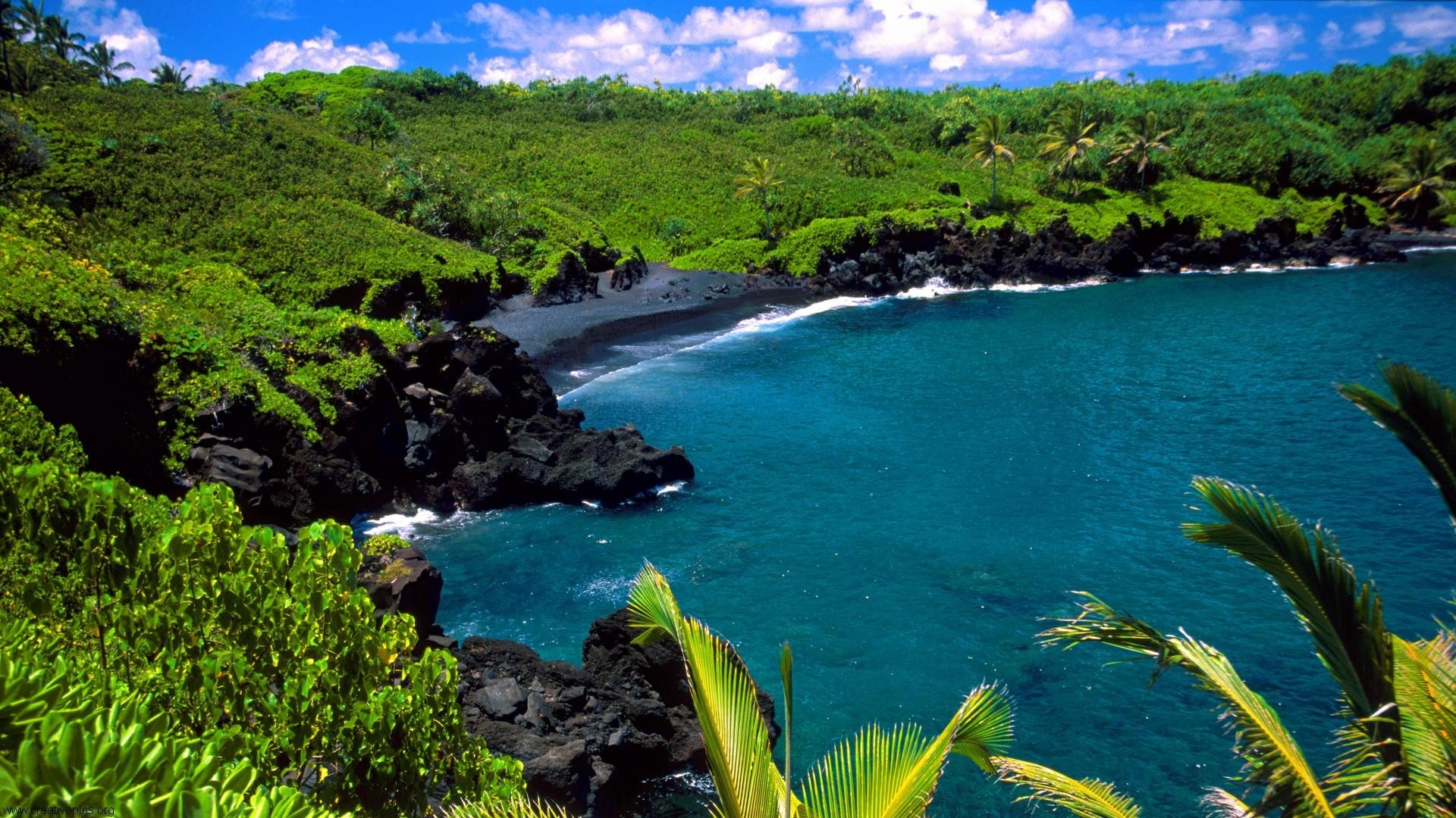 Scenic view of a black sand beach in Hawaii, surrounded by lush greenery and turquoise water