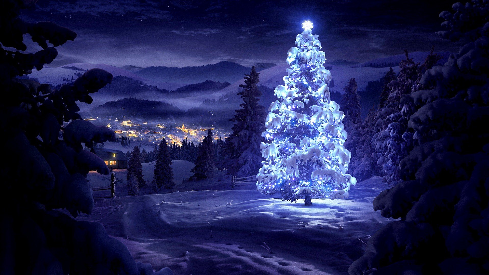 Christmas Snow Pine Trees HD Wallpaper Desktop And Mobile