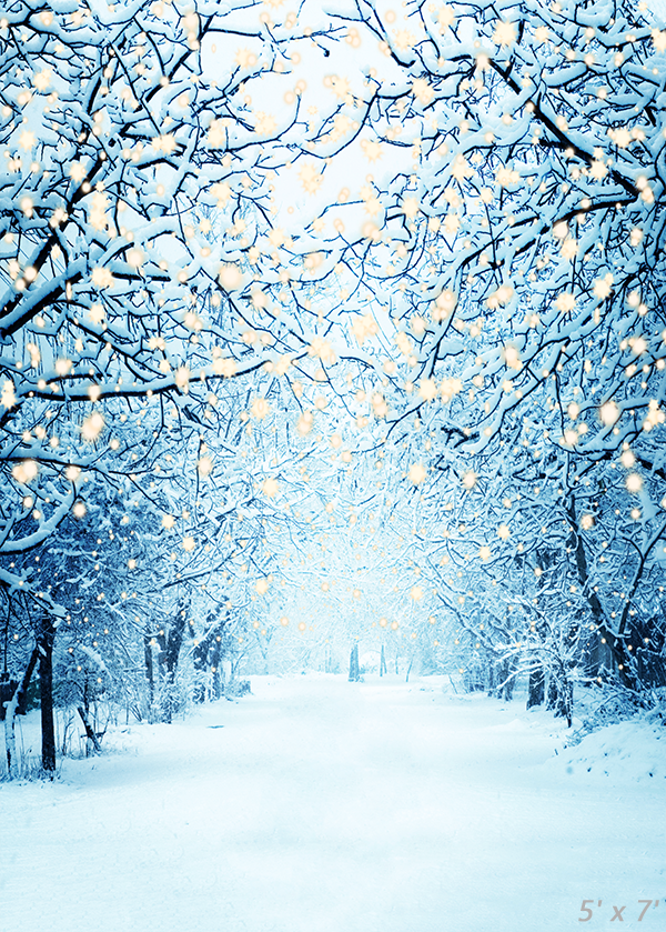 🔥 Free download Winter Snowy Lane With Lights Photography Backdrop ...