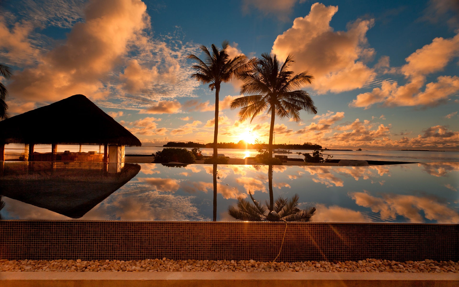 Sunset At Palm Beach Nature Beautiful Desktop Background