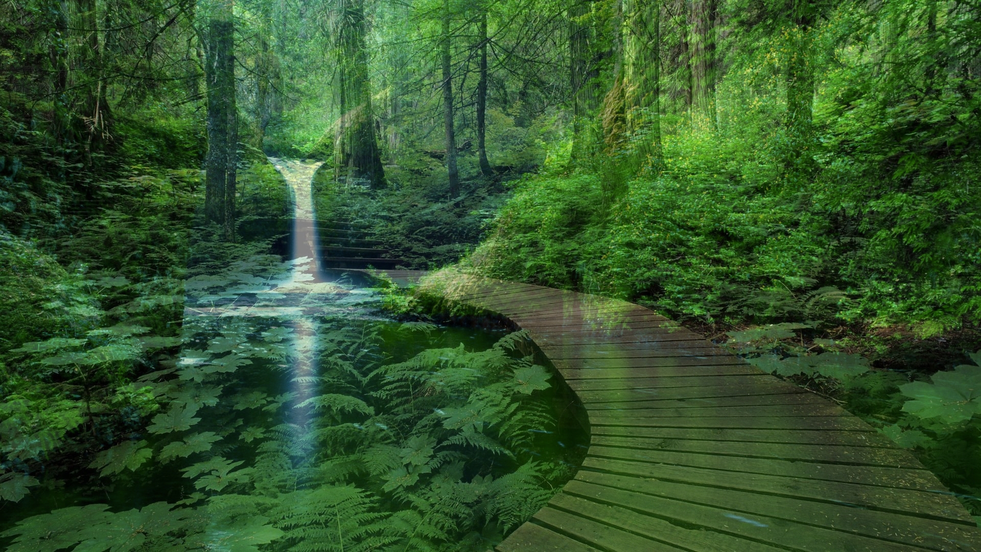 🔥 Download Trees Plants Waterfalls Peaceful HD Wallpaper Of Nature 