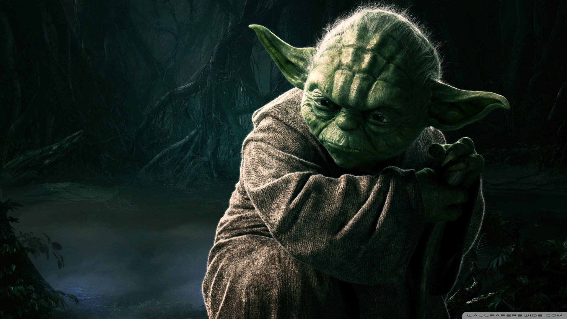 Star Wars Yoda Jedi Master 1920x1080 HD Wallpaper Movies