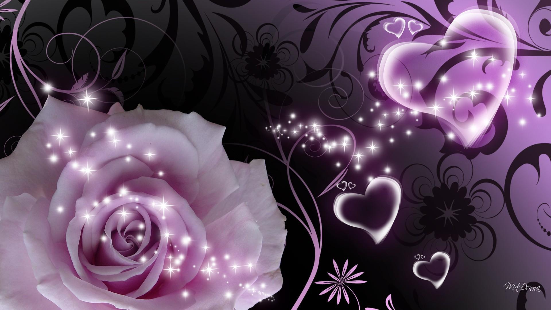 Purple Rose And Heart A Beautiful Picture Wallpaper Image