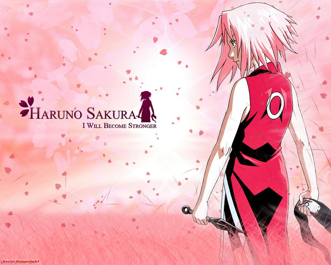 Wallpaper De Sakura Haruno En HD Dragonxoft