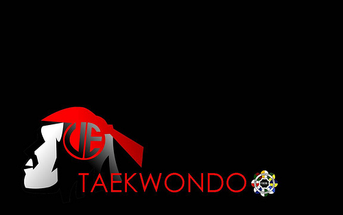 Ue Taekwondo Wallpaper Explore Romil Photos On Fli