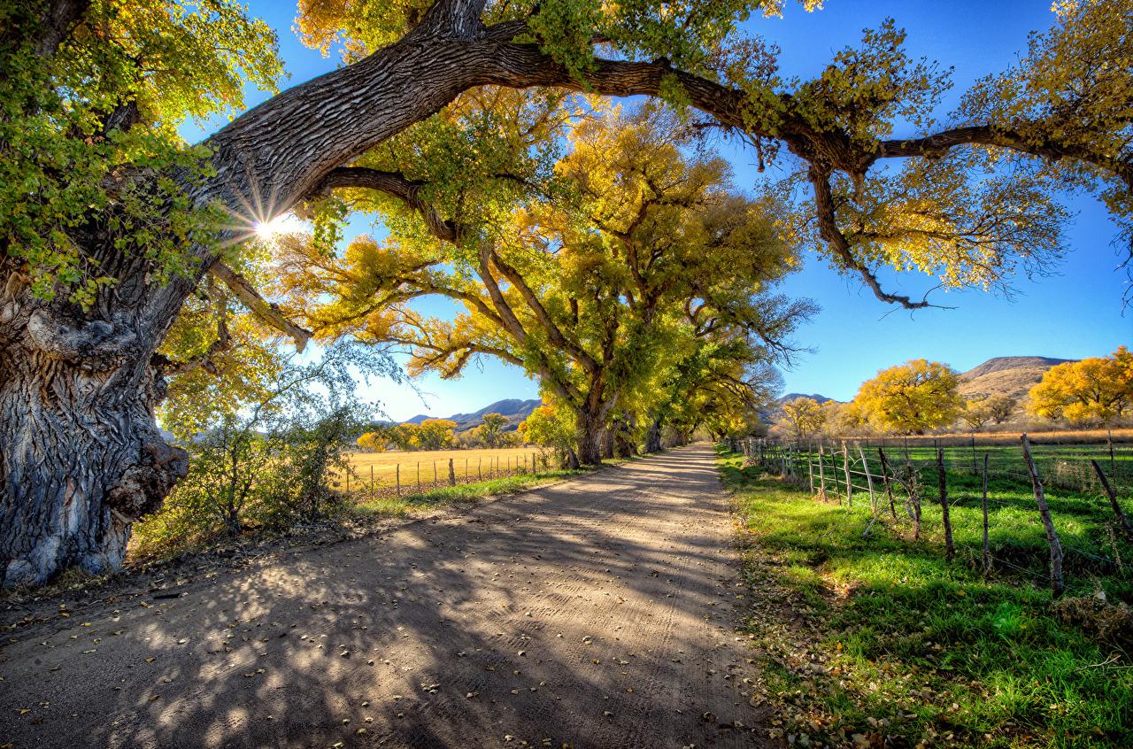 Image Rays Of Light Usa Arizona HDr Summer Nature Roads Trees